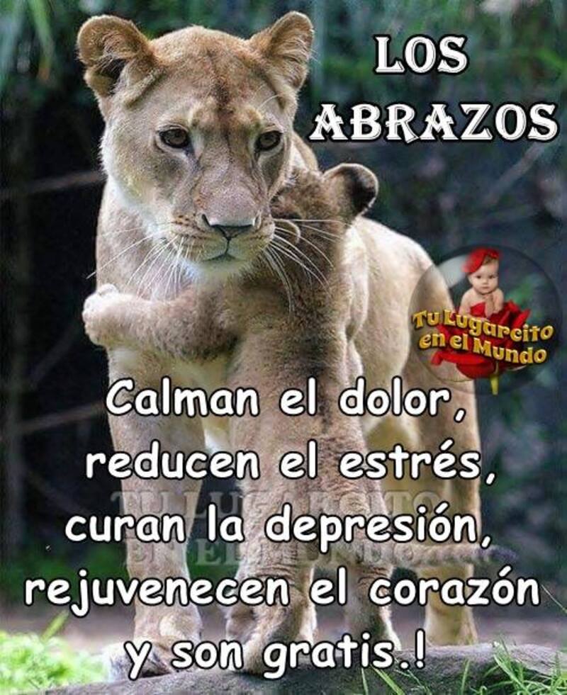 Abrazos 1