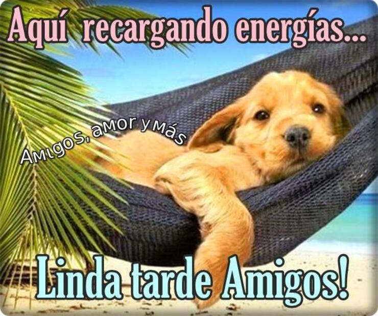 Aquí recargando energías Linda Tarde Amigos