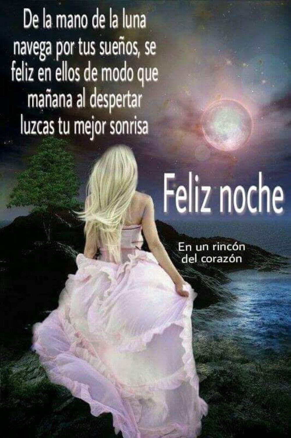 Bellas imágenes Buenas Noches amigos 10