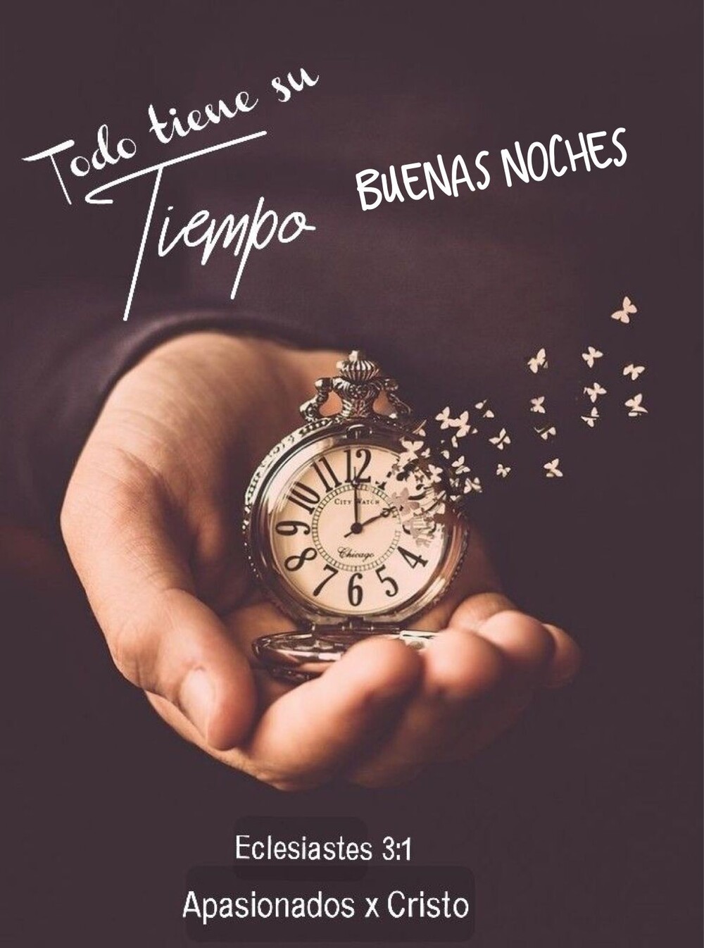 Bellas imágenes Buenas Noches amigos 12