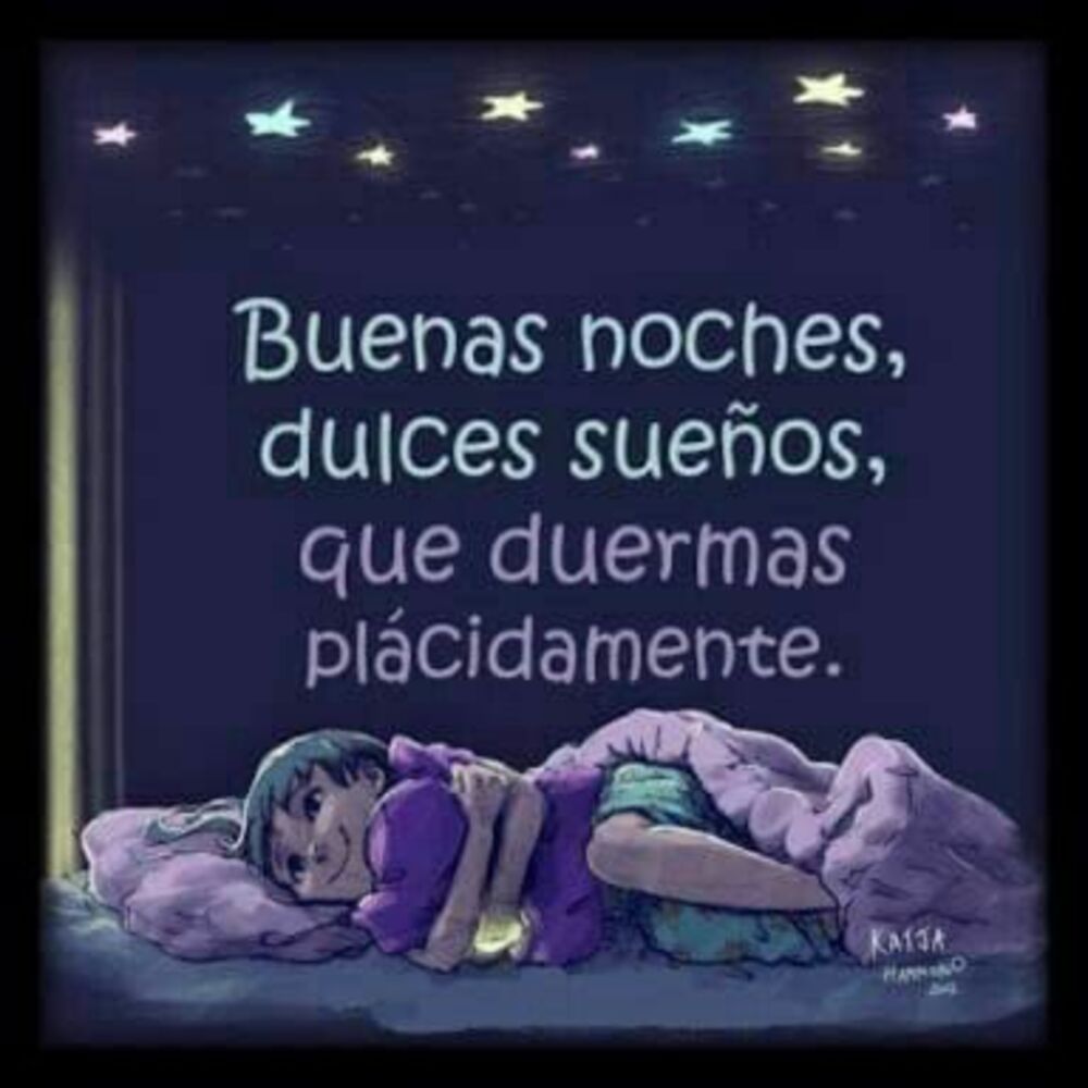 Bellas imágenes Buenas Noches amigos 14