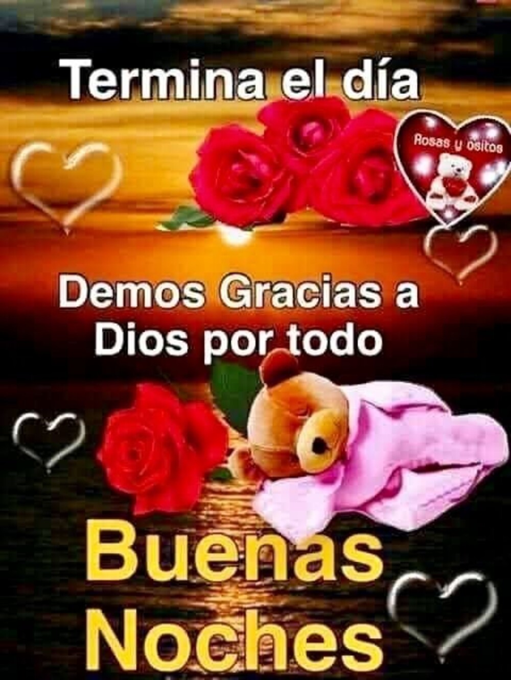 Bellas imágenes Buenas Noches amigos 17