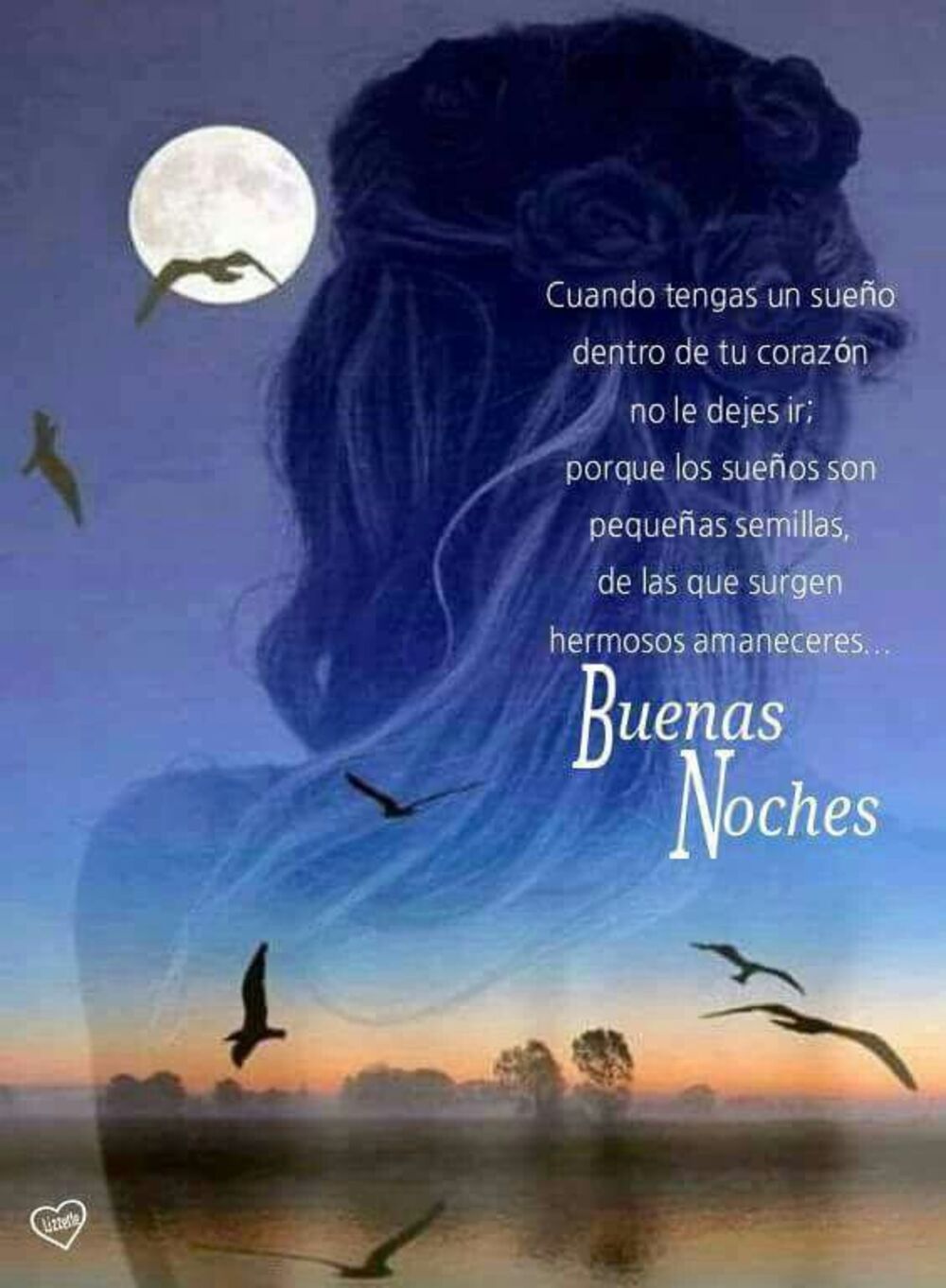 Bellas imágenes Buenas Noches amigos 3