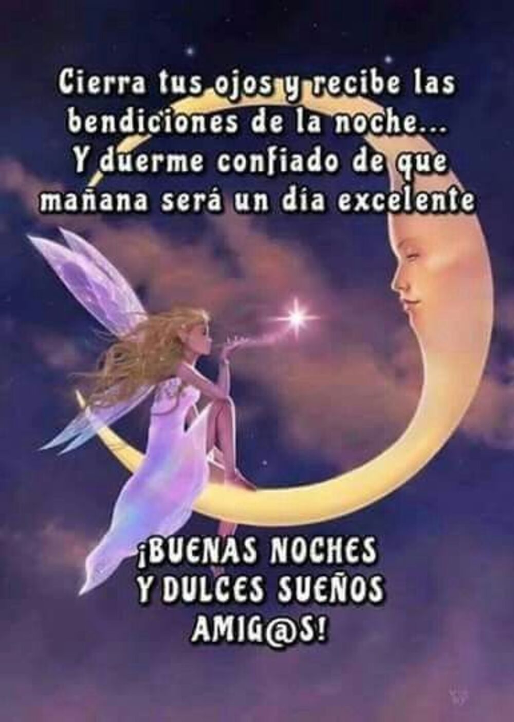 Bellas imágenes Buenas Noches amigos 5