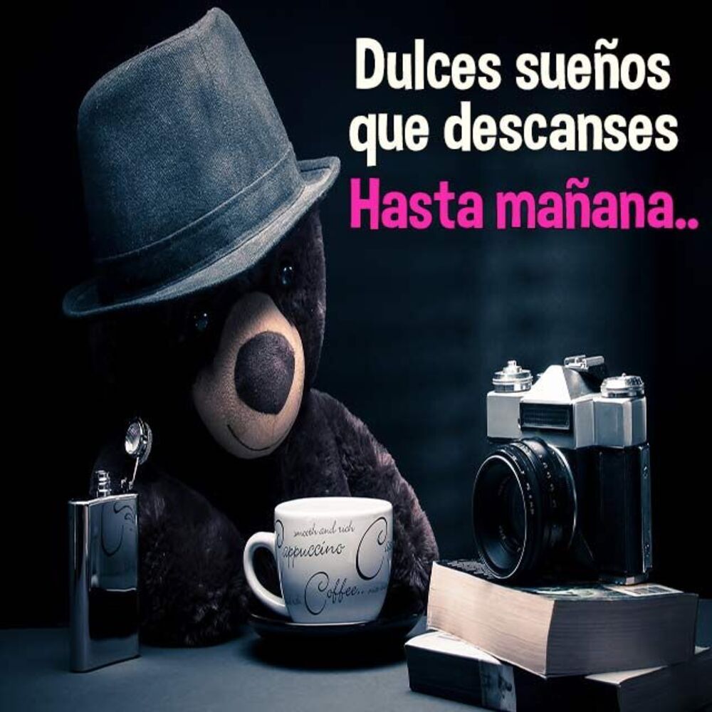 Bellas imágenes Buenas Noches amigos 9