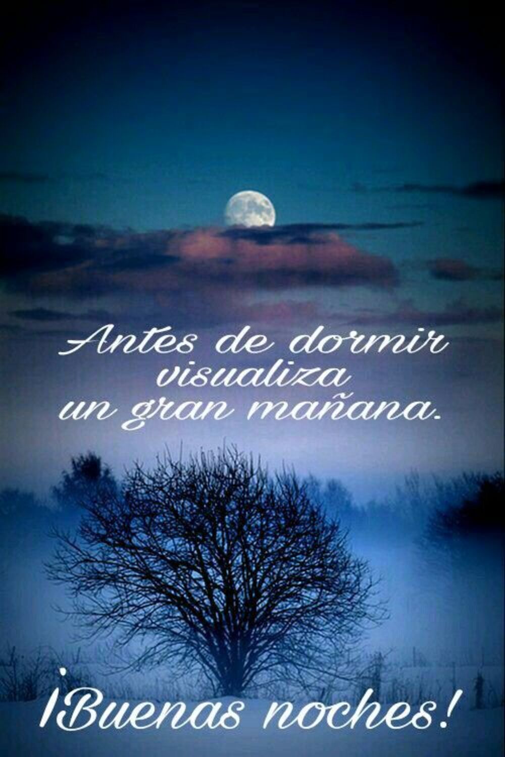 Bellas imágenes Buenas Noches para Facebook 14