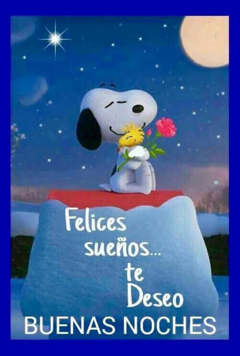 Bellas imágenes de Buenas Noches con Snoopy (5)