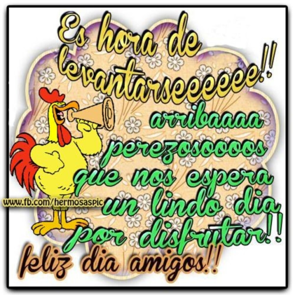Bellas imágenes de Buenos Días gratis para WhatsApp 11