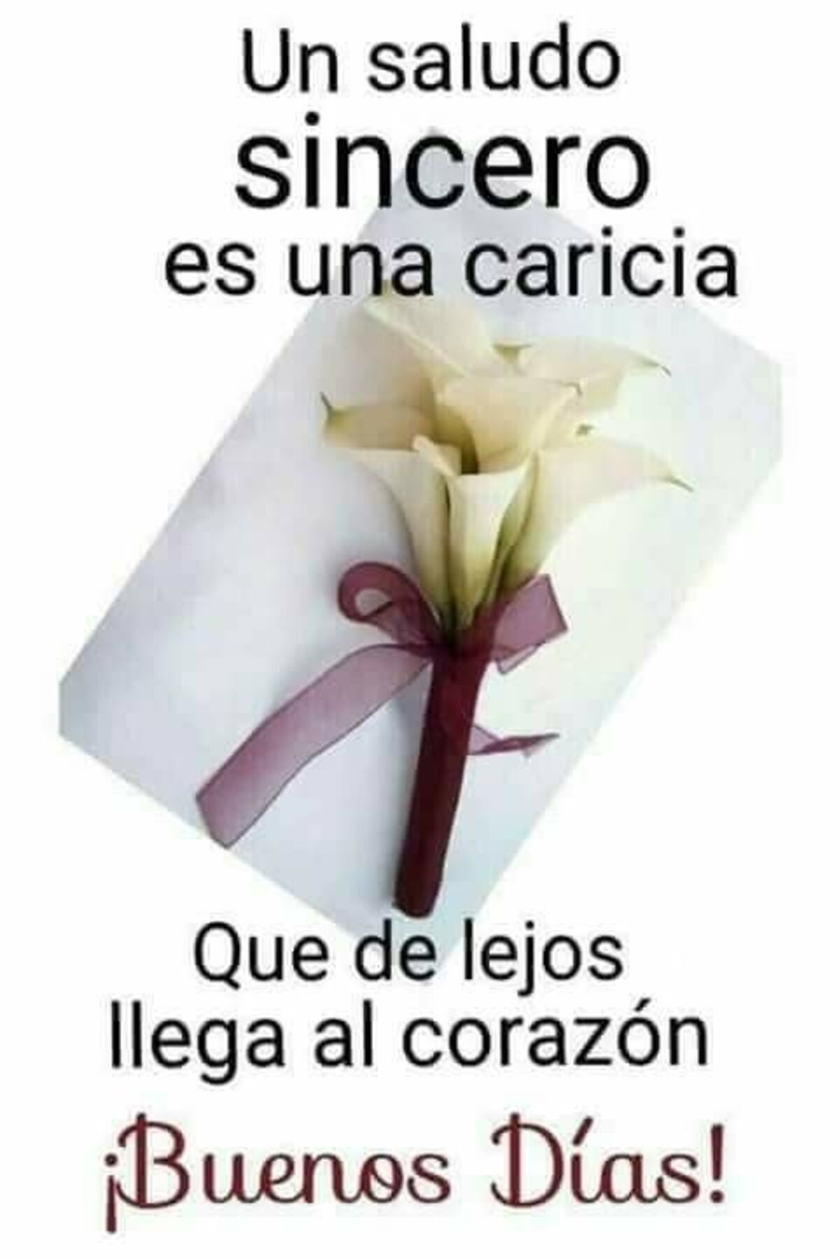 Bellas imágenes de Buenos Días gratis para WhatsApp 12