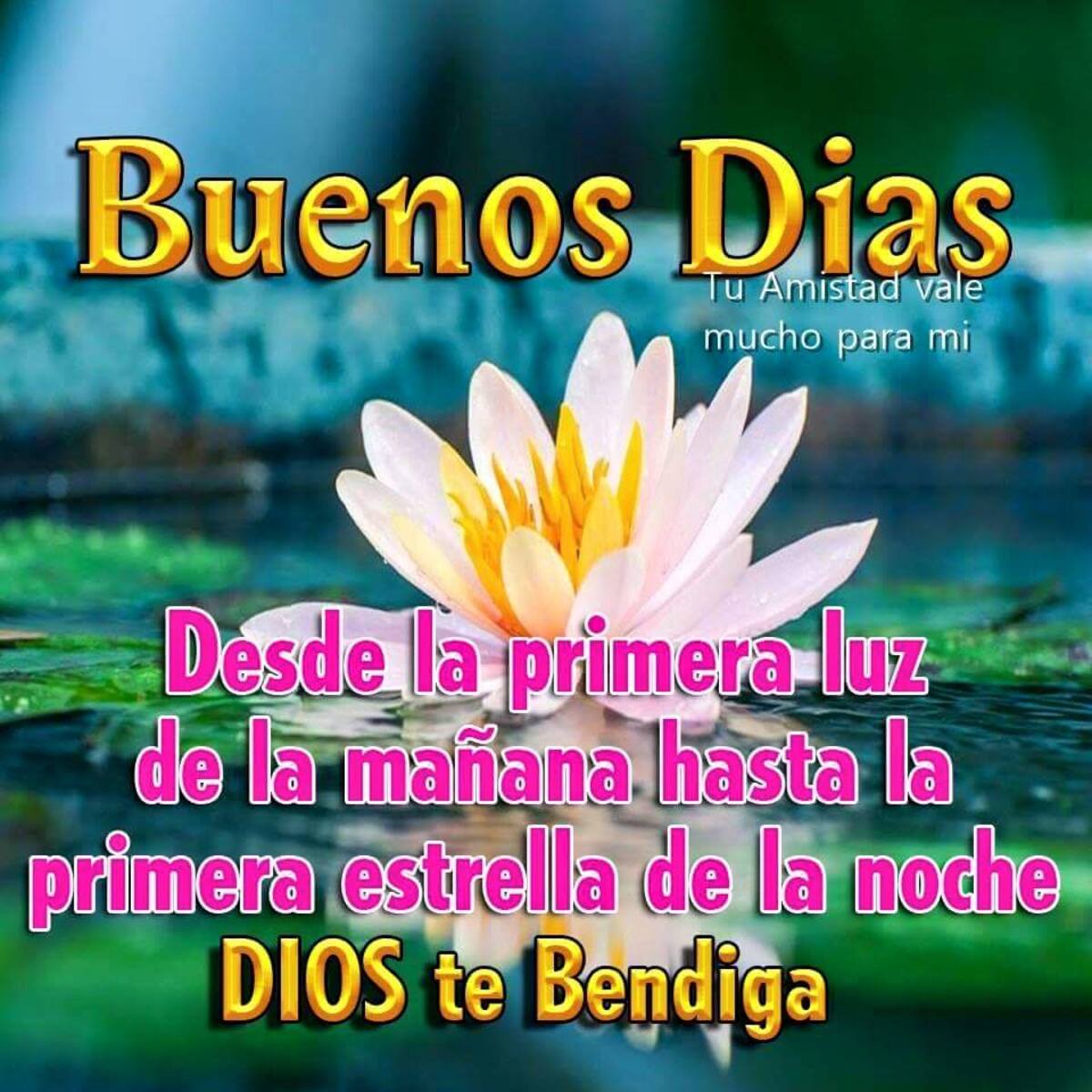 Bellas imágenes de Buenos Días gratis para WhatsApp 14