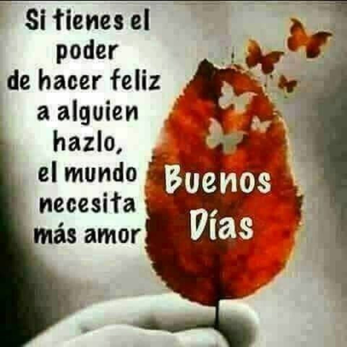 Bellas imágenes de Buenos Días gratis para WhatsApp 2
