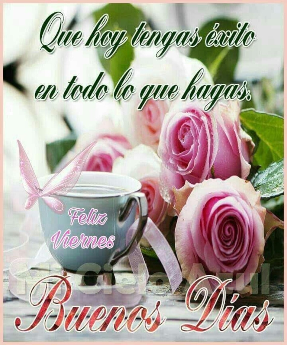 Bellas imágenes para Buen Día y Feliz Viernes 1