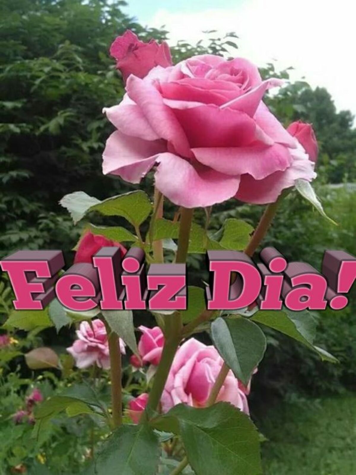 Bello Día 10
