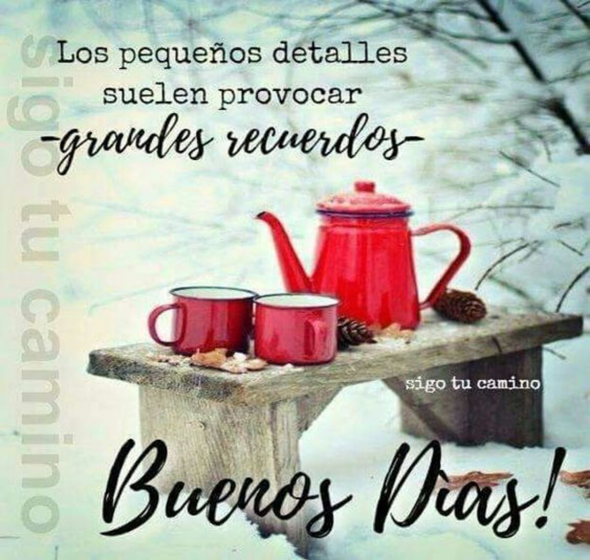 Bello Día 14