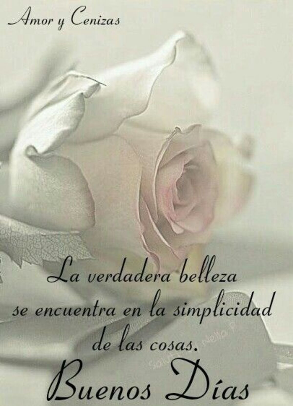Bello Día 5