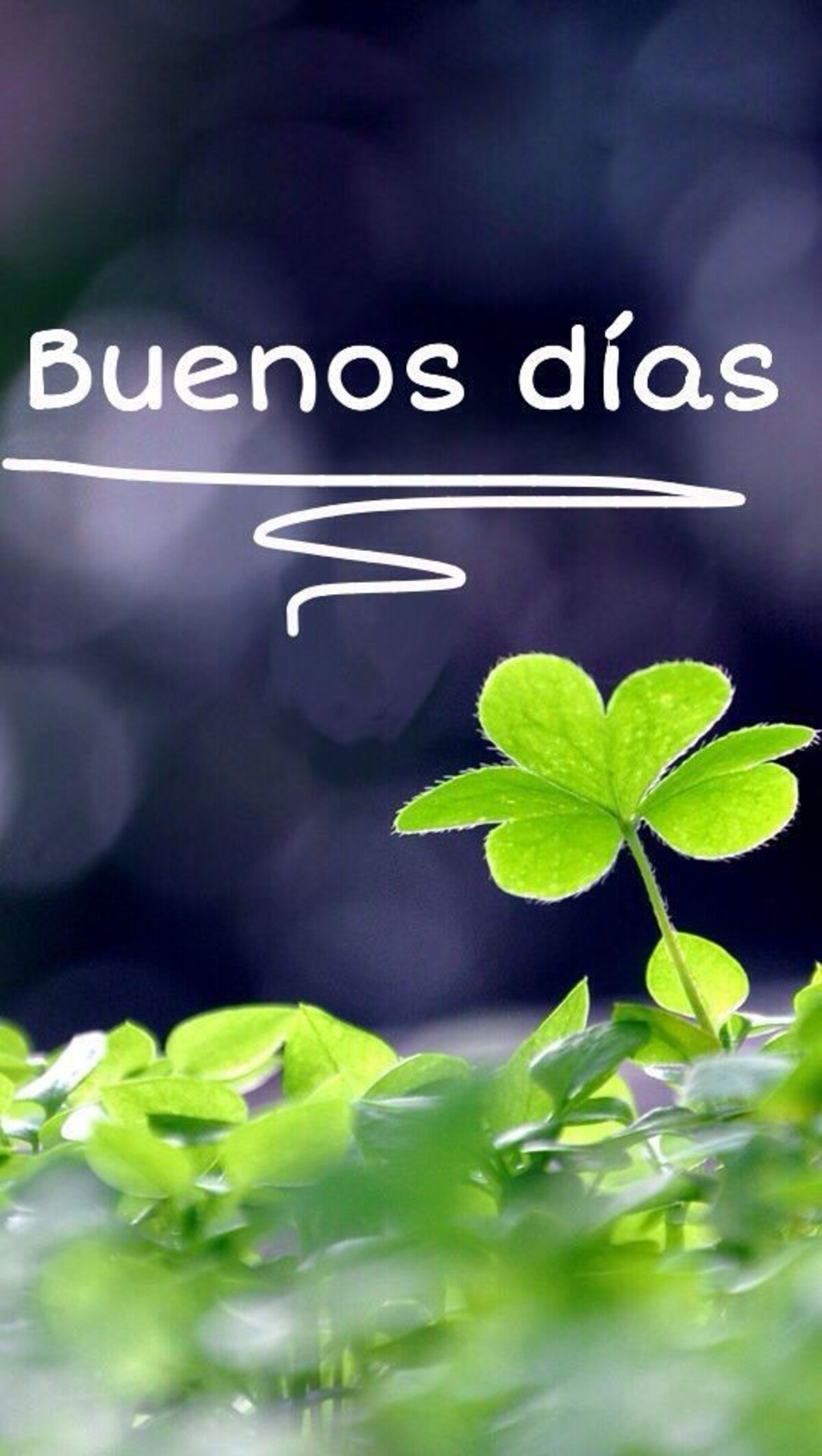 Bello Día 9