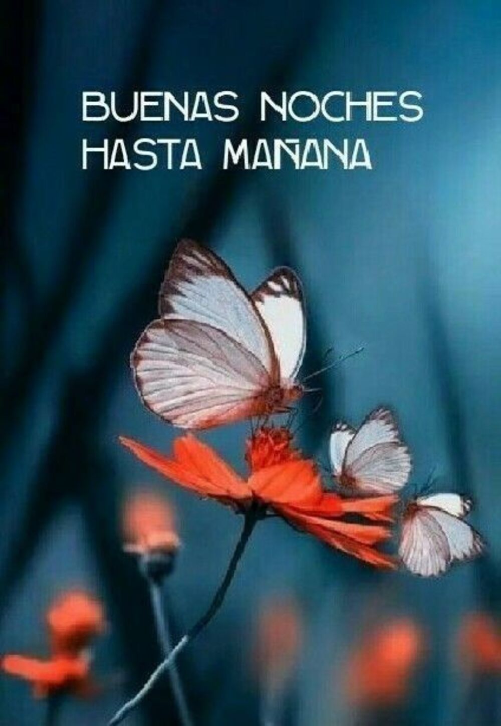 Besitos Buenas Noches 9