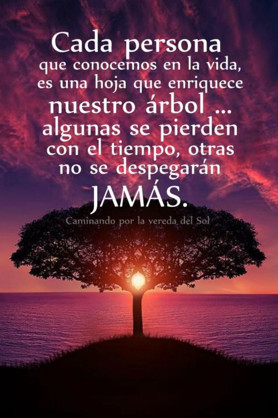Bonitas frases con imágenes Facebook 5