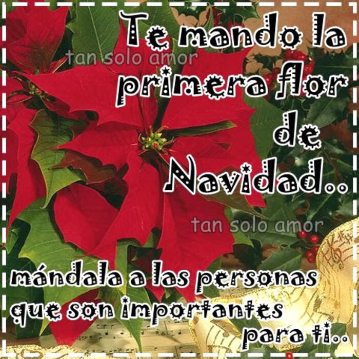 Bonitas imágenes de Feliz Navidad para compartir gratis 6
