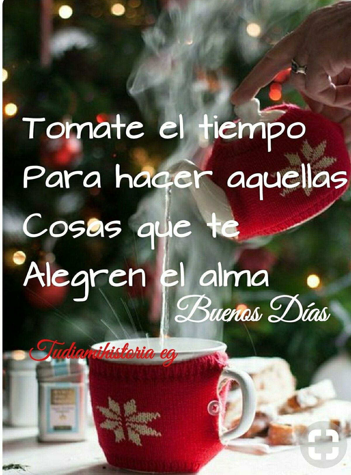 Bonito Día 11