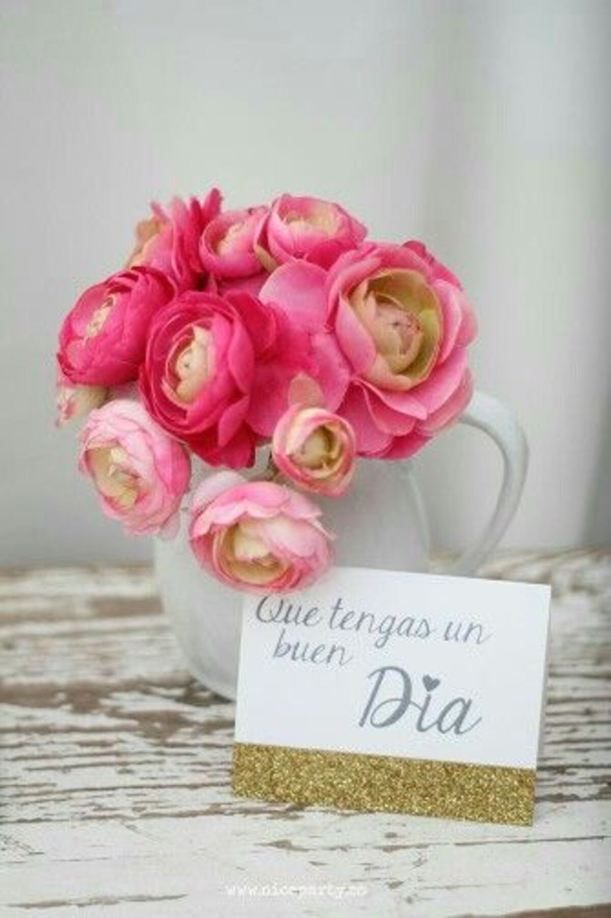 Bonito Día 13