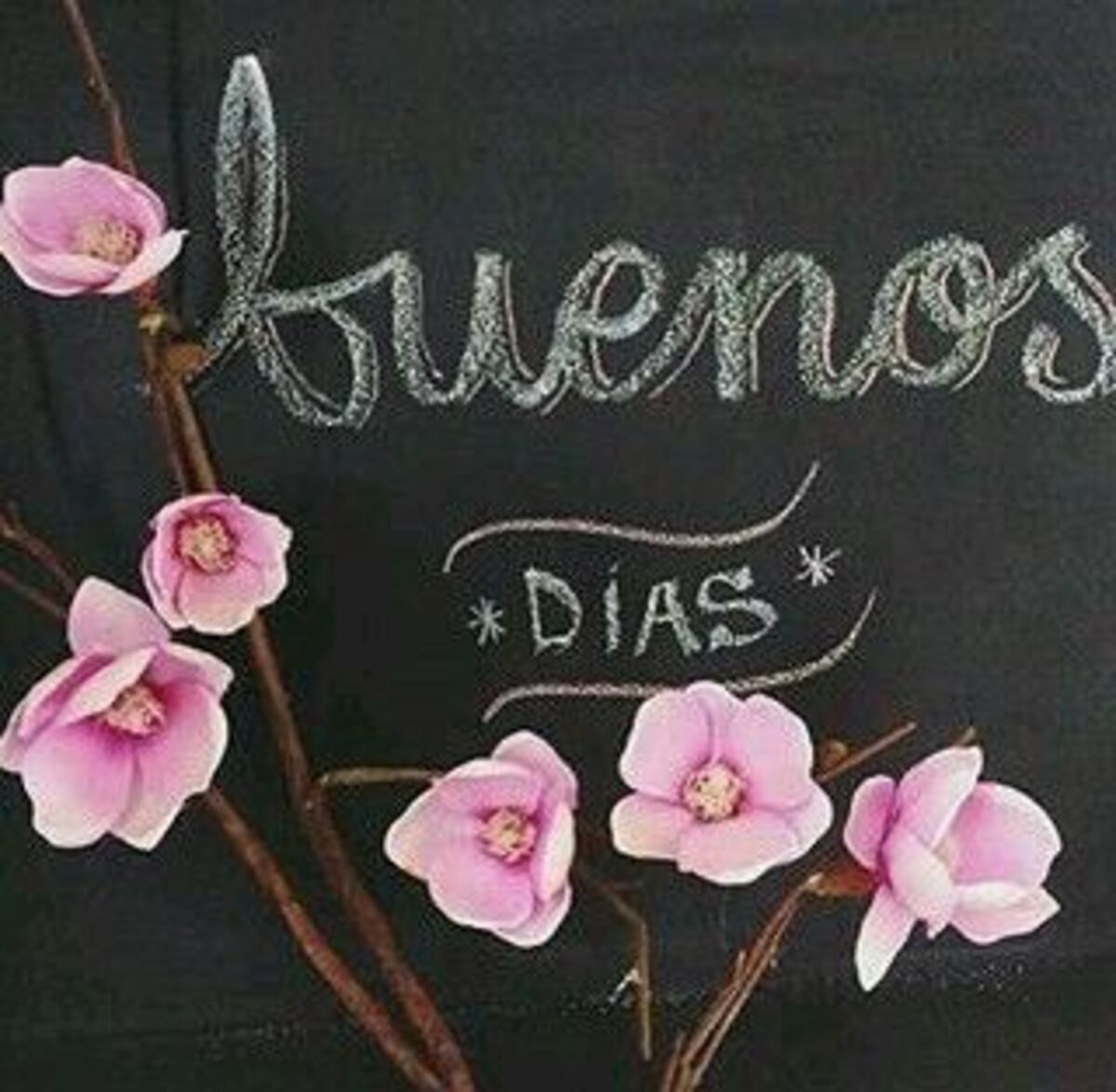 Bonito Día 3