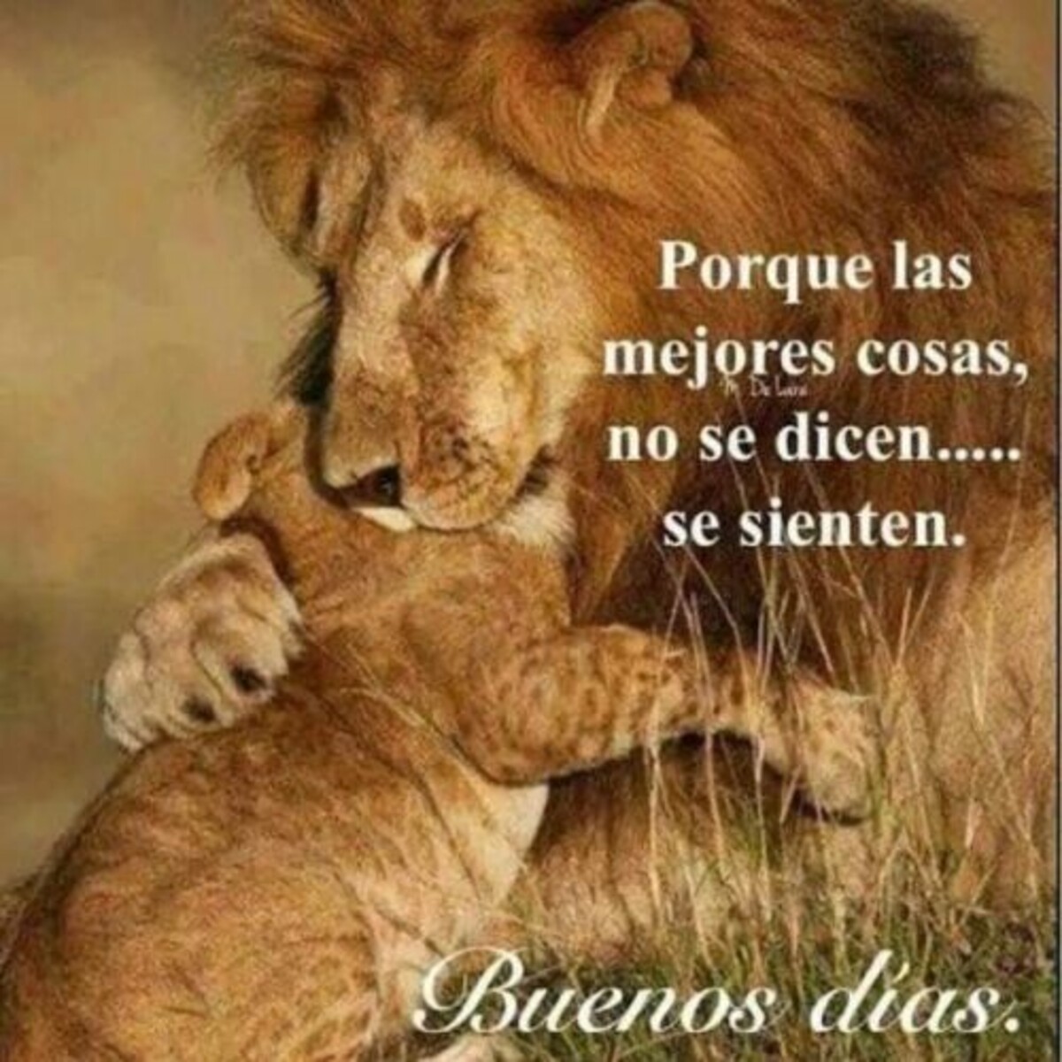 Bonito Día 7