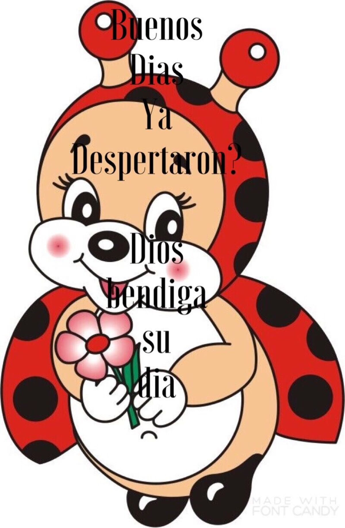 Bonito Día 8