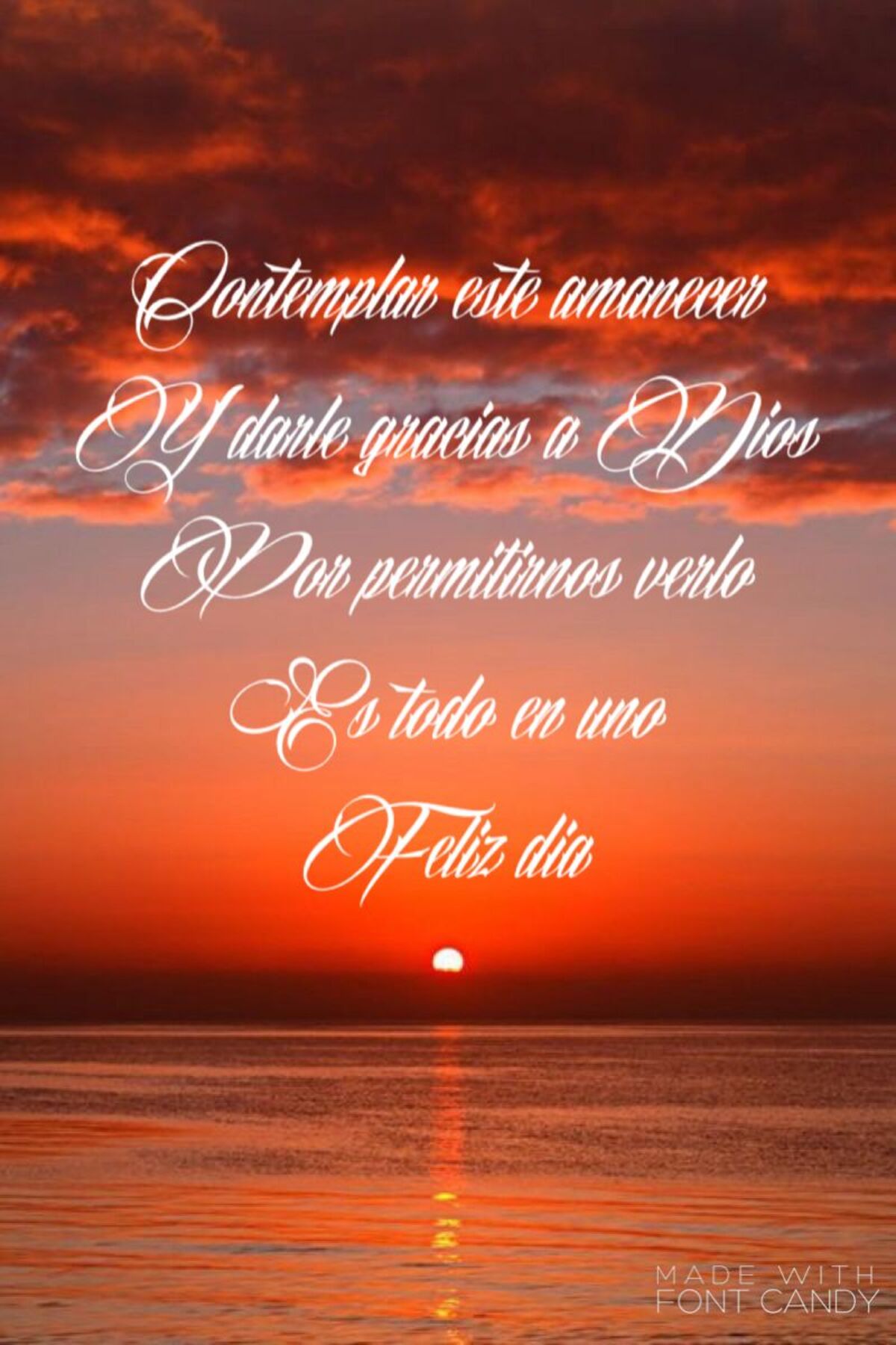 Bonito Día 9