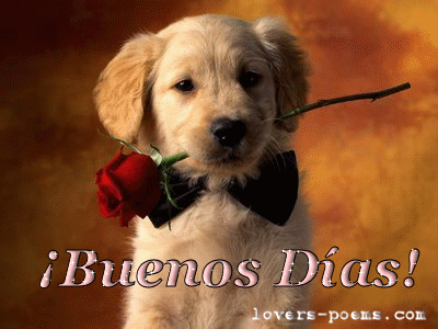 Buen Día 11