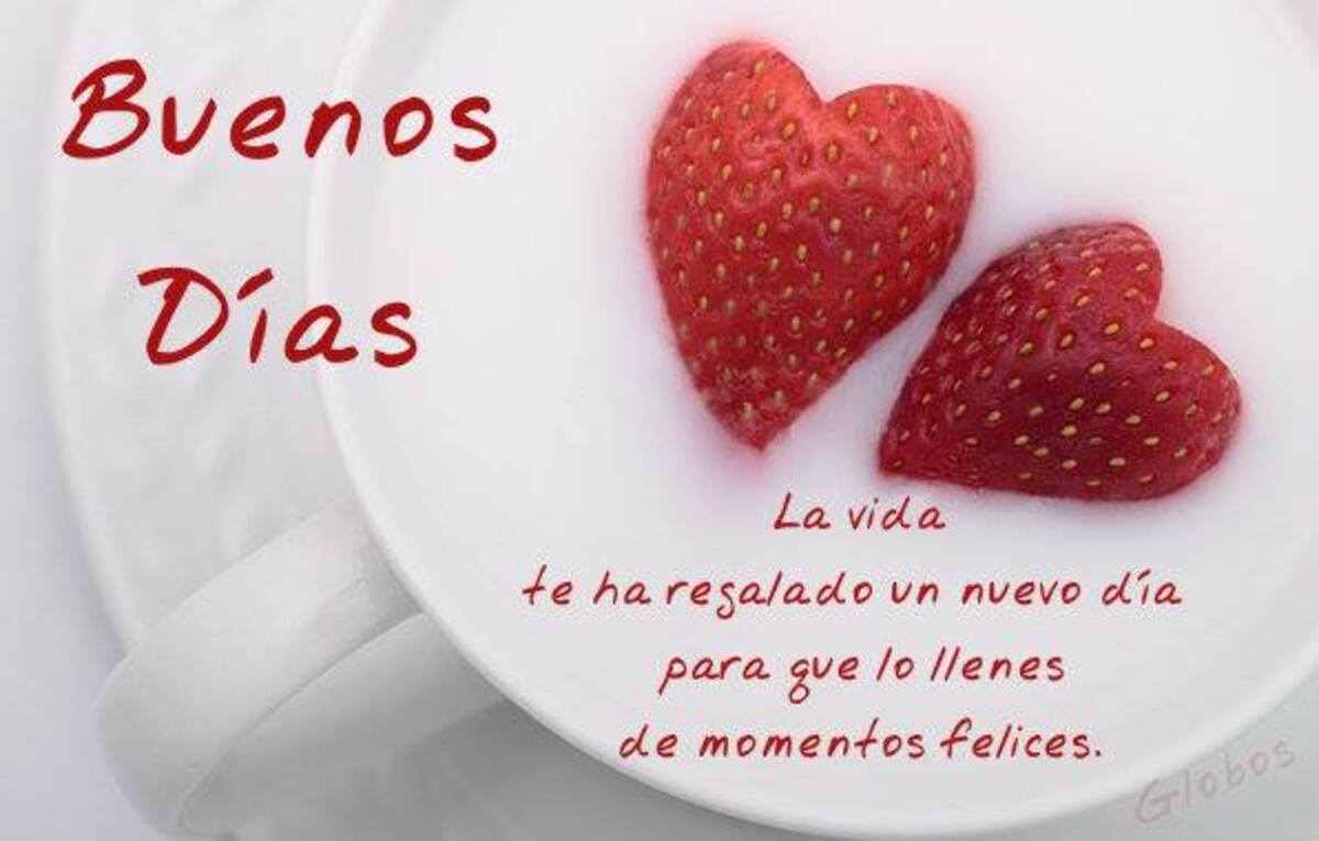 Buen Día 13