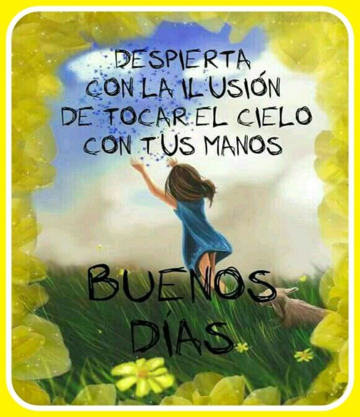 Buen Día 14