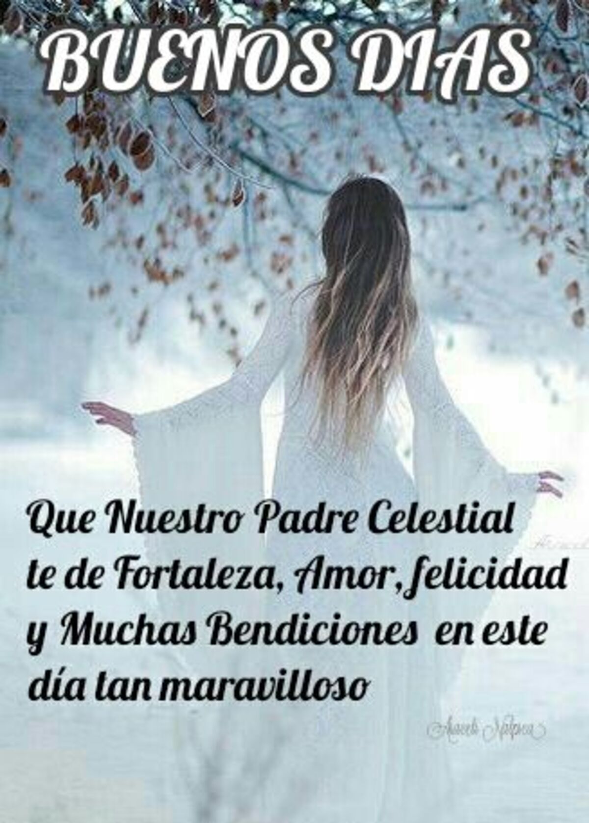 Buen Día 4