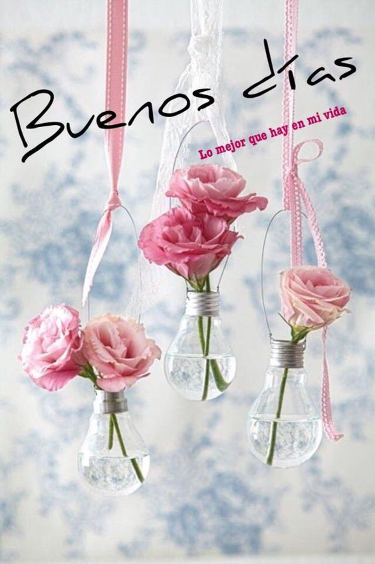 Buen Día 5