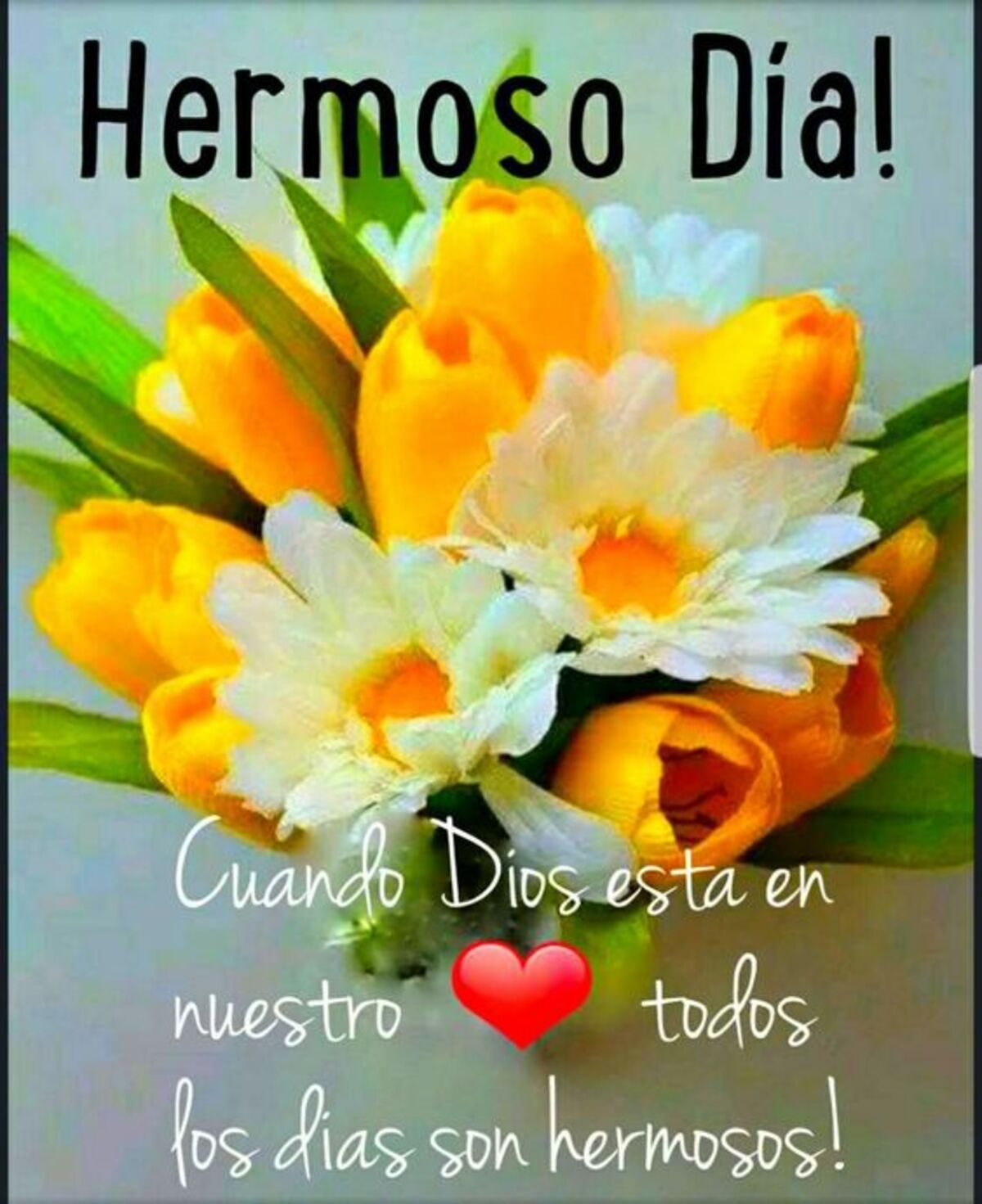 Buen Día 6