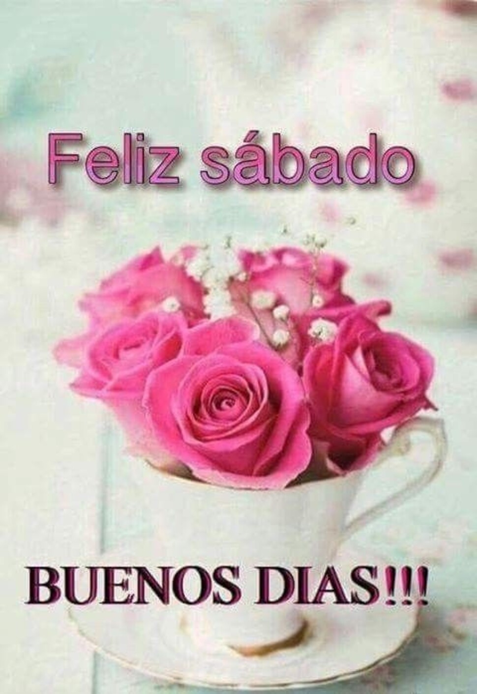 Buen Día Feliz Sábado bendiciones WhatsApp 1