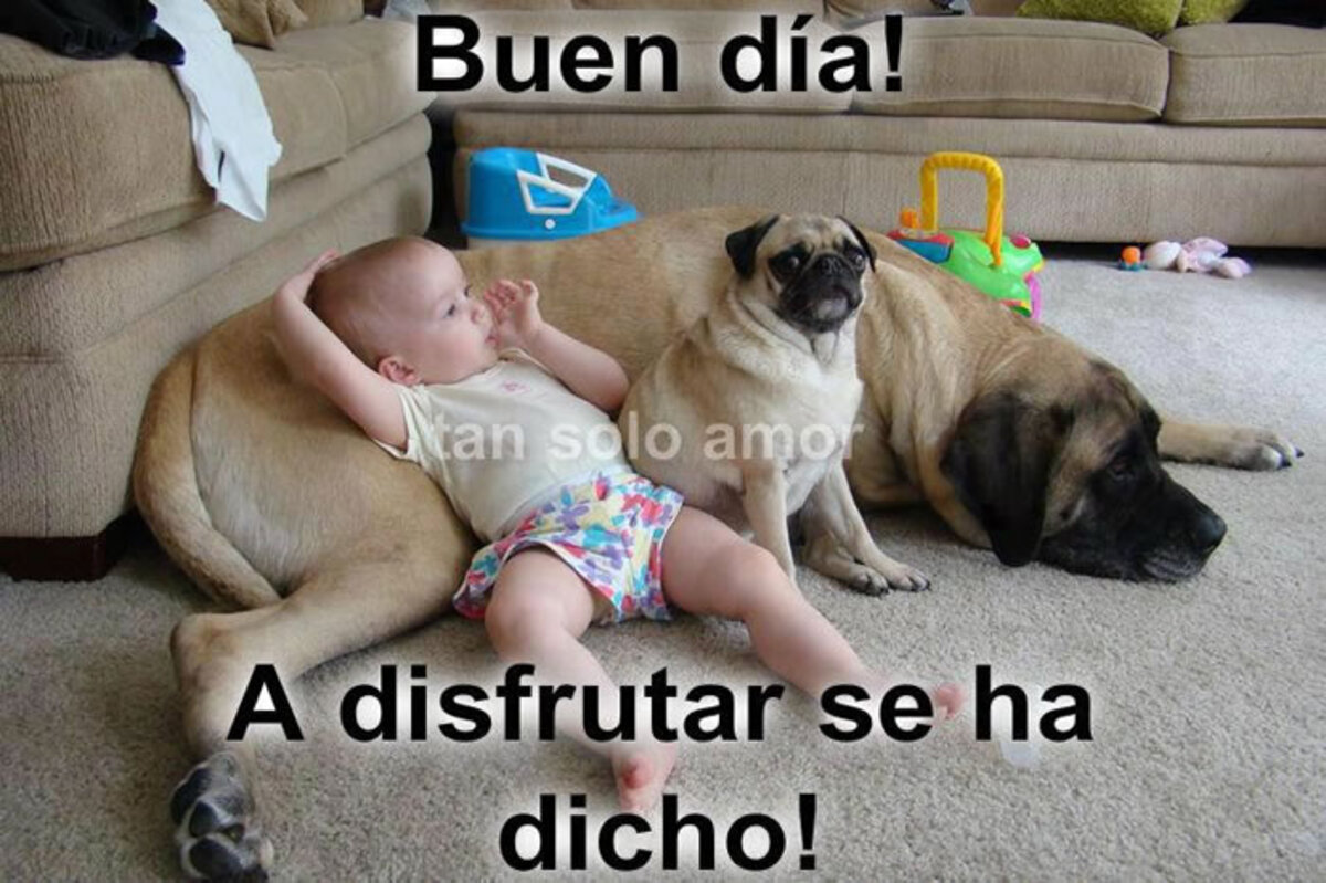 Buen Día a disfrutar se ha dicho