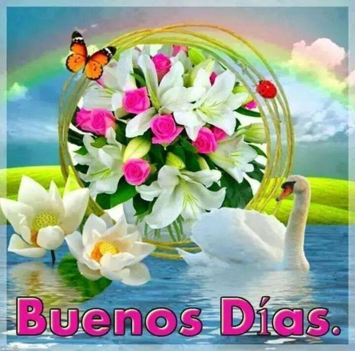 Buen Día imágenes 3