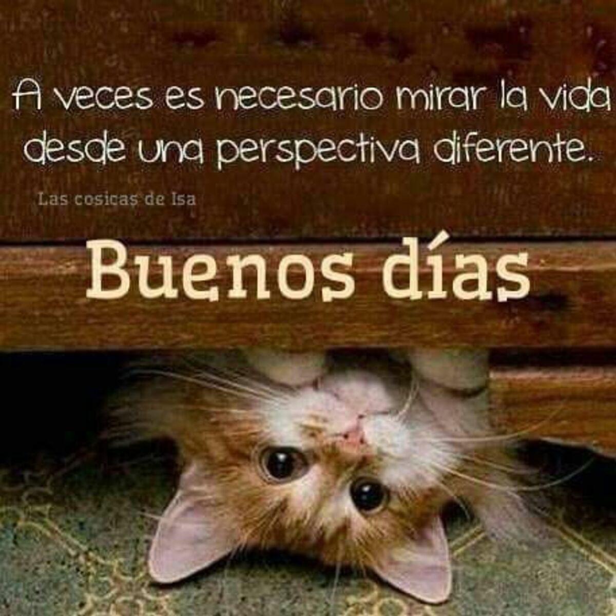 Buen Día imágenes 6