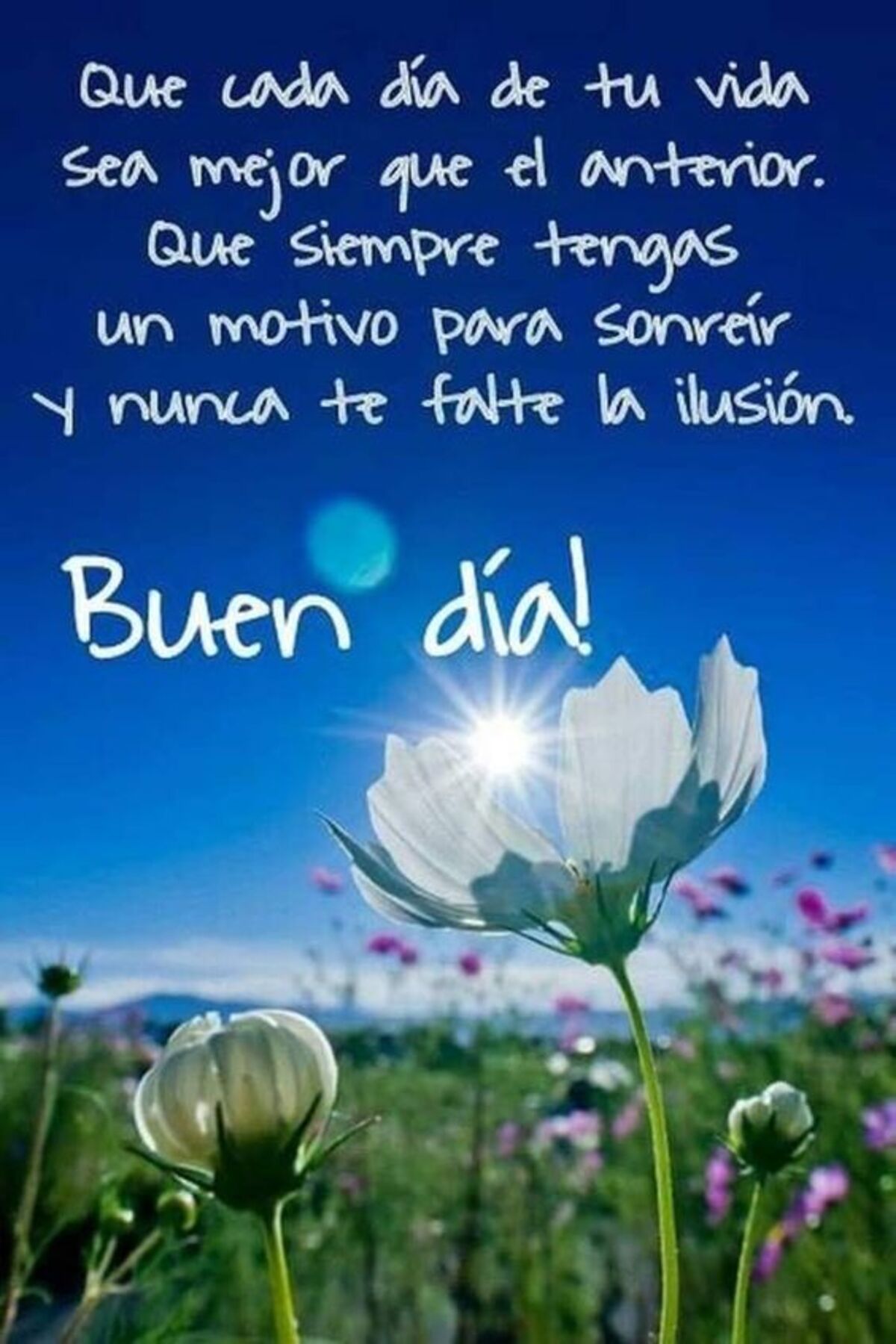 Buen Día imágenes para grupos Facebook 2