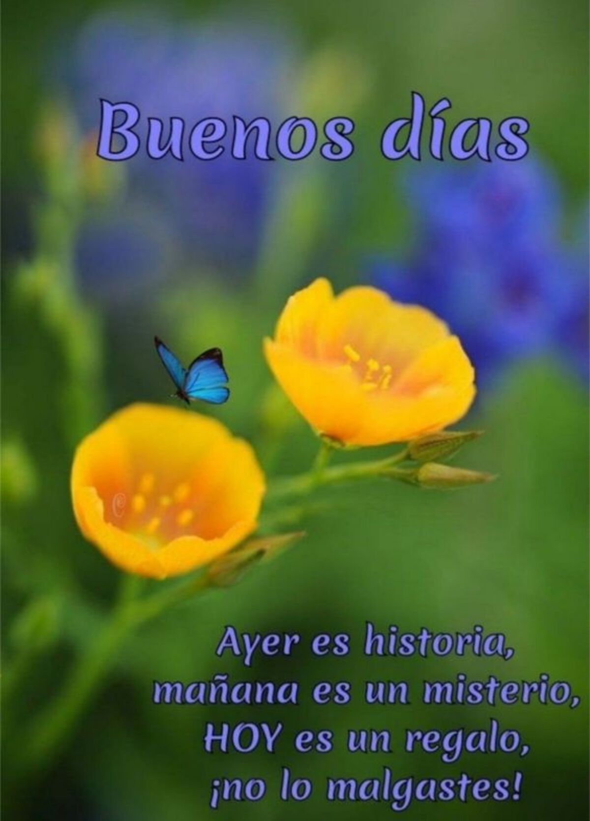 Buen Día imágenes para grupos Facebook 8