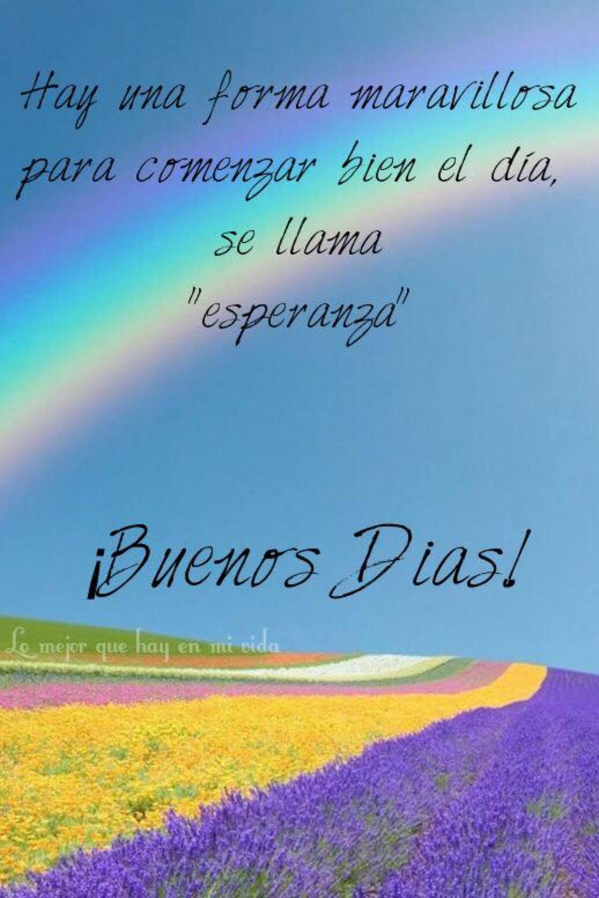 Buen Día imágenes y frases 1