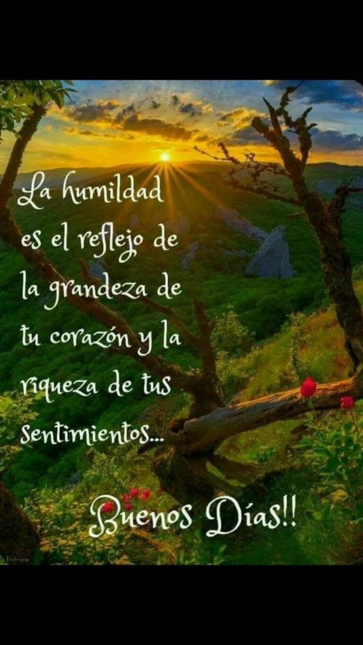 Buen Día imágenes y frases 11