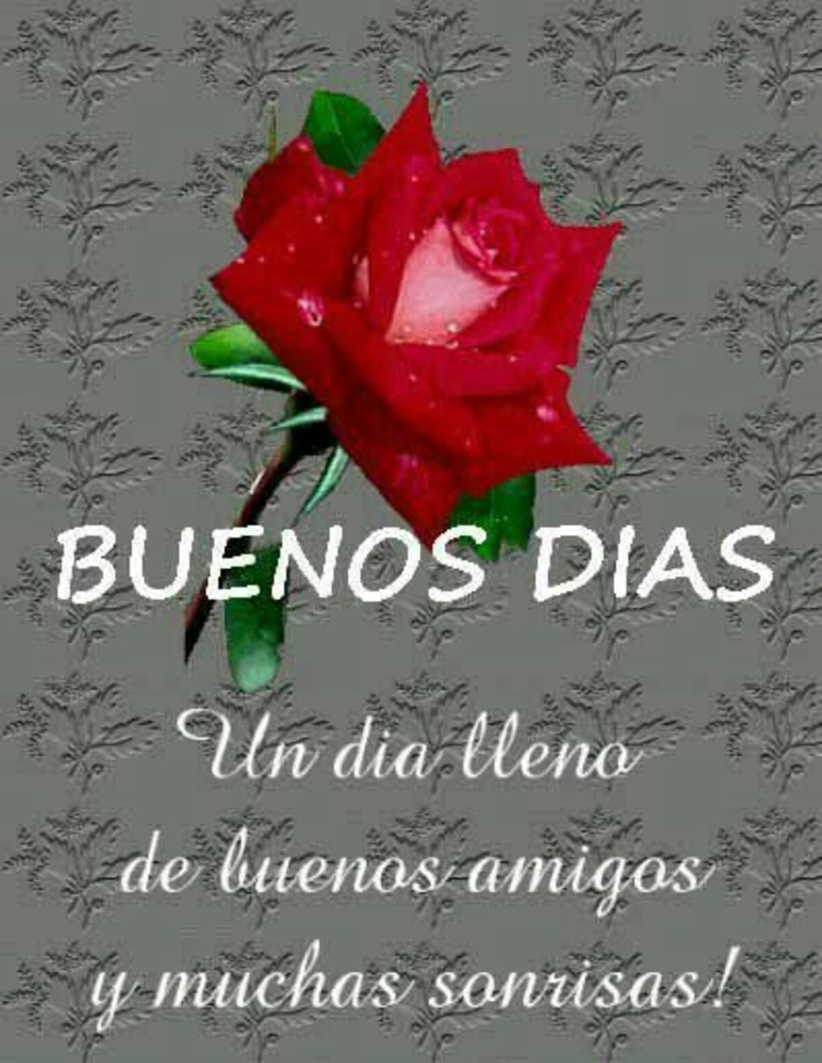 Buen Día imágenes y frases 13