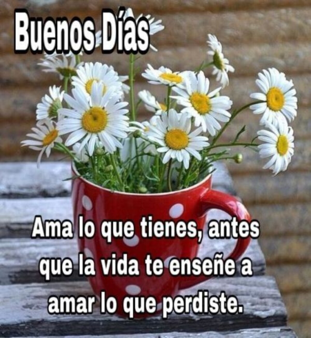 Buen Día imágenes y frases 15