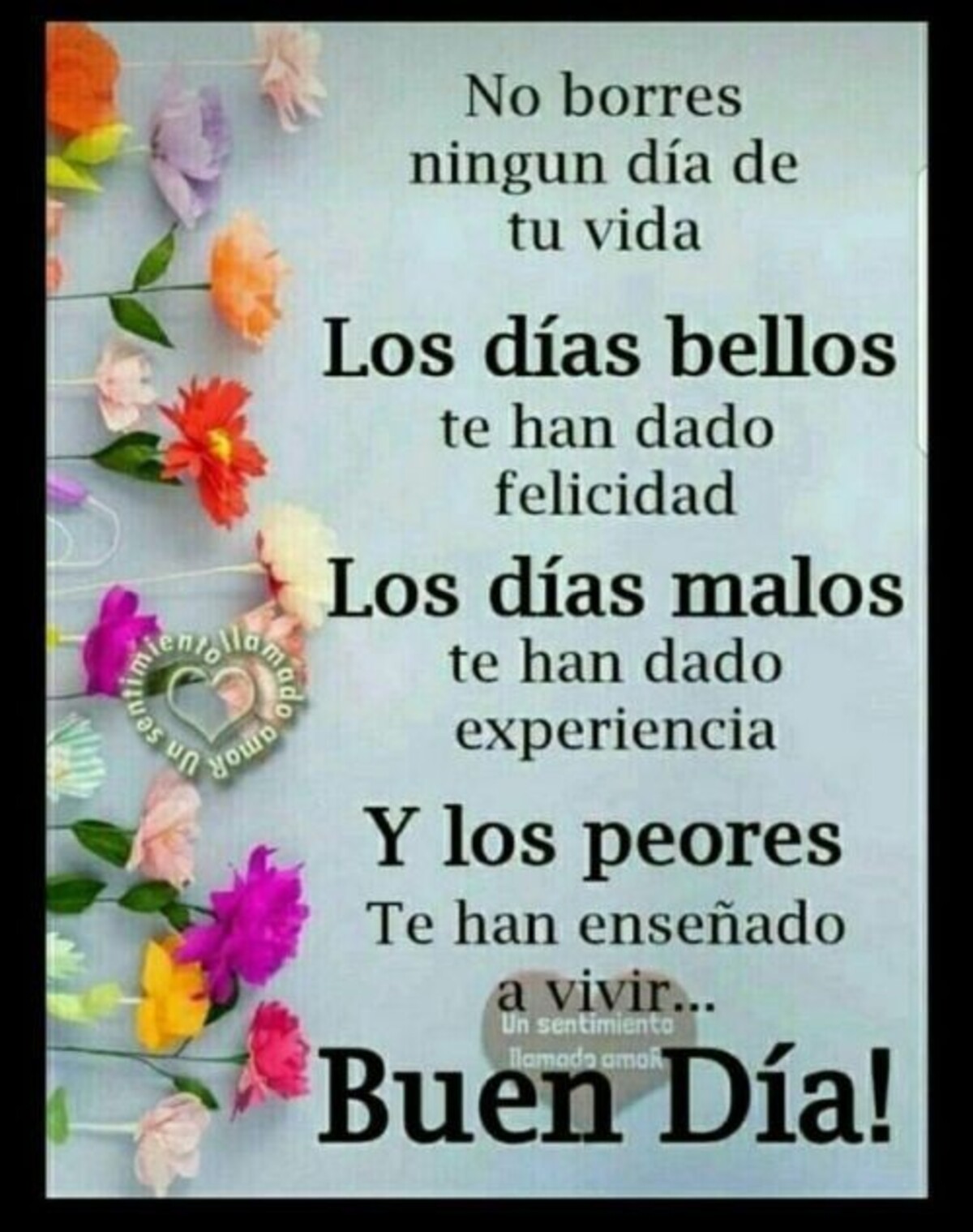 Buen Día imágenes y frases 4