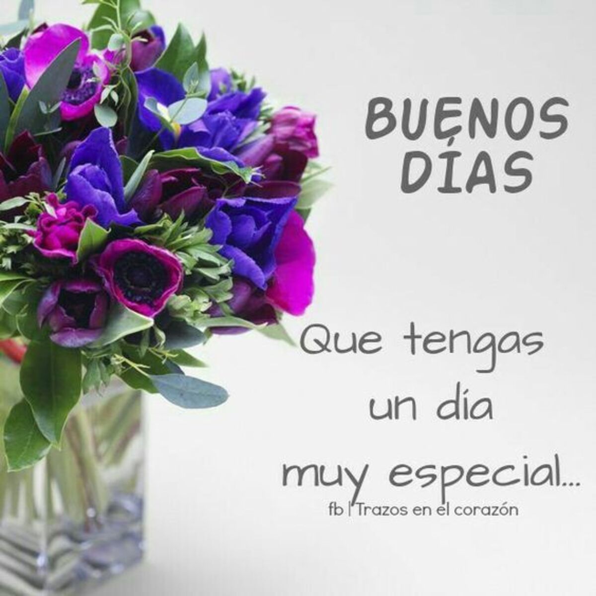 Buen Día imágenes y frases 9