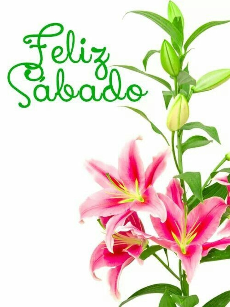 Buen fin de semana y Feliz Sábado imágenes bonitas 1