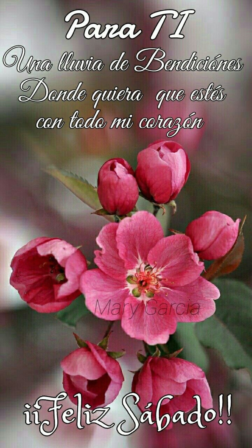 Buen fin de semana y Feliz Sábado imágenes bonitas 5