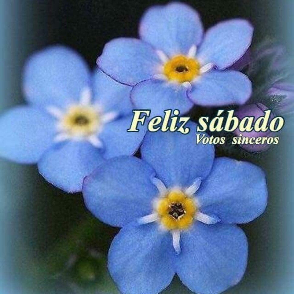 Buen fin de semana y Feliz Sábado imágenes bonitas 9